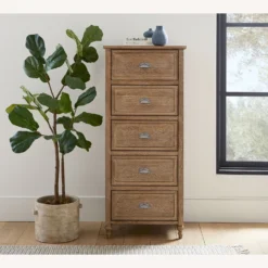 Pottery Barn Astoria5-Drawer Tall Lingerie Dresser 6 Pottery Barn Astoria5-Drawer Tall Lingerie Dresser -Pottery Barn 1500 1500 frame 0 1235