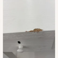 Pottery Barn Farmhouse 2-Drawer Nightstand -Pottery Barn 1500 1500 frame 0 2227