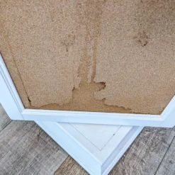 Pottery Barn Display-It 20.5" Rotating Bookcase -Pottery Barn 1500 1500 frame 0 269