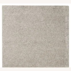 Pottery Barn Microplush Performance Shag Rug